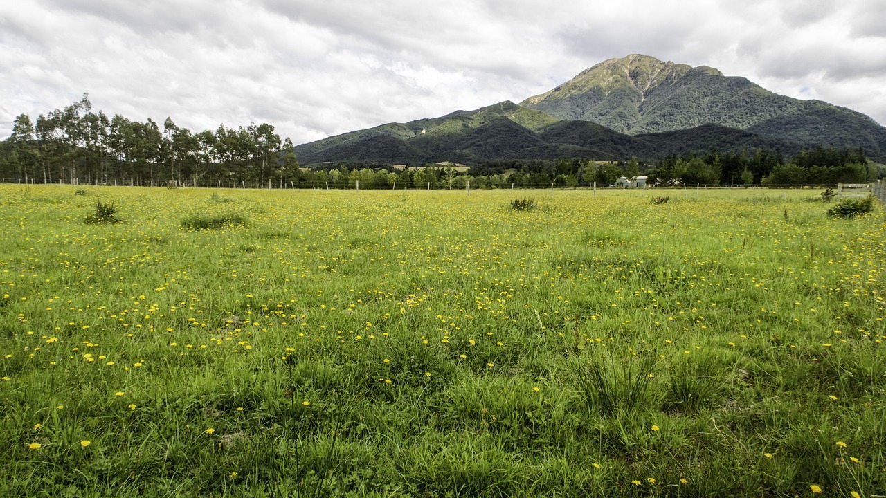 Green field large