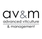 AVM Logo