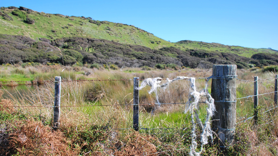 Broken Fence NZ