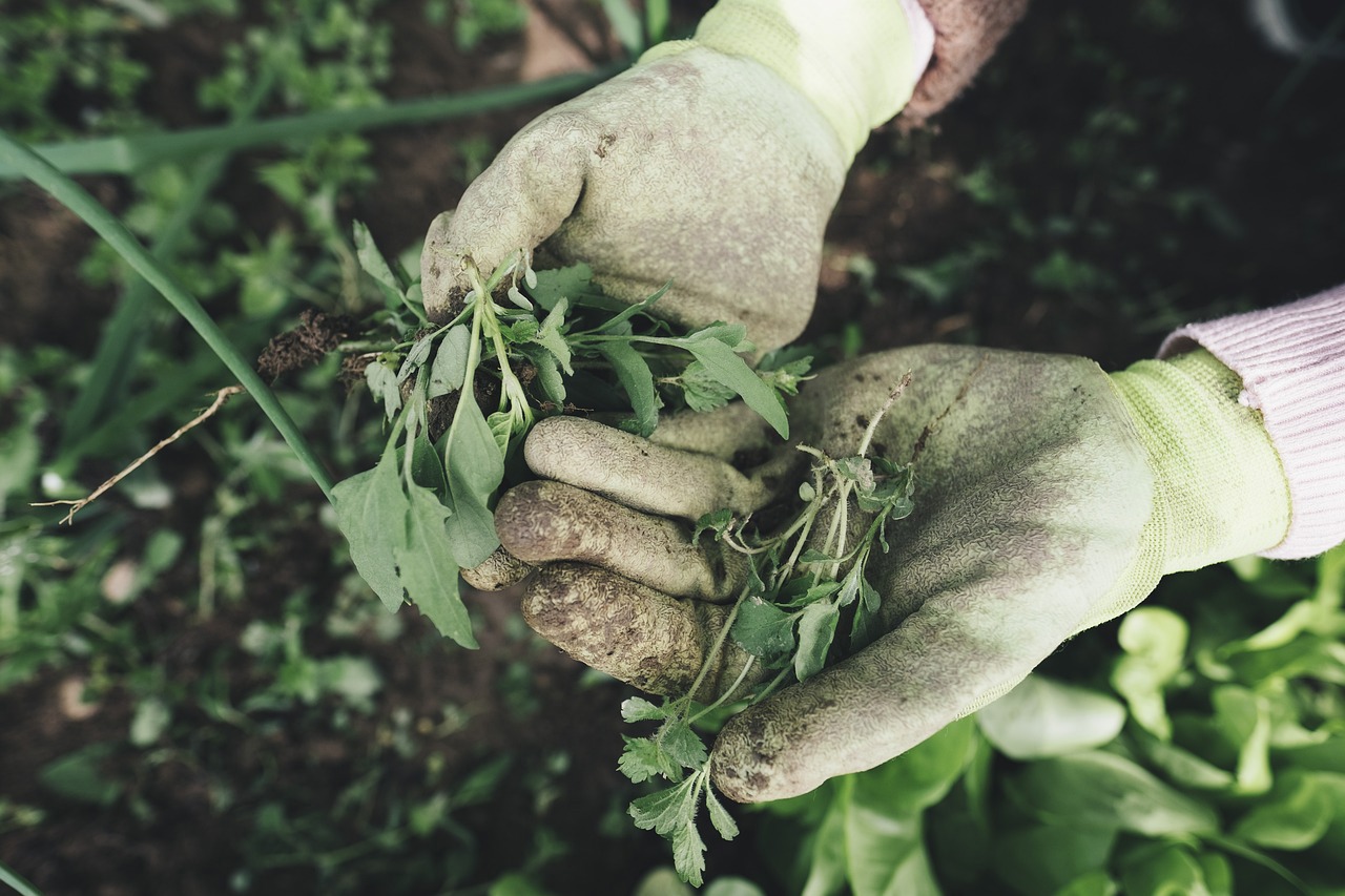 Gardening gloves large